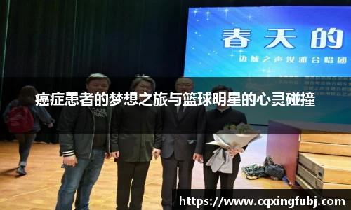 zoty中欧有限公司
